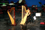 IMG_5070.jpg