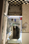 IMG_4972.jpg